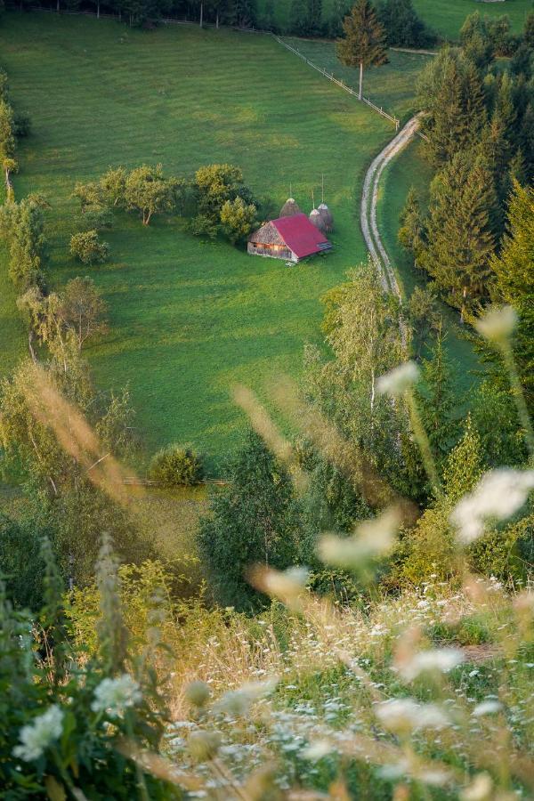 Pensiunea Hodaita Мэгура Экстерьер фото